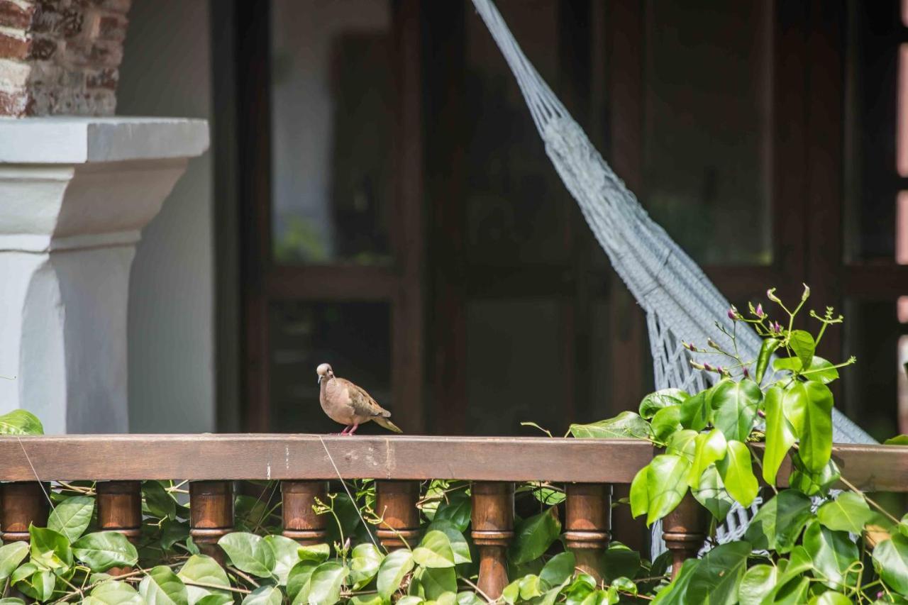Hotel Boutique Casa Del Arzobispado Cartagena Ngoại thất bức ảnh
