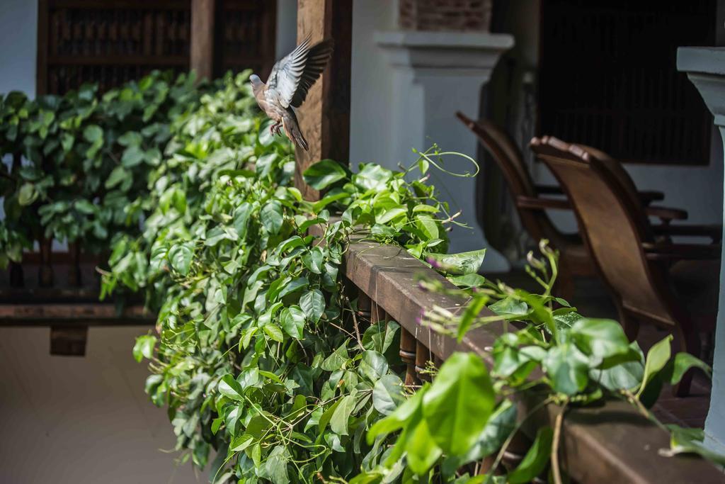 Hotel Boutique Casa Del Arzobispado Cartagena Ngoại thất bức ảnh